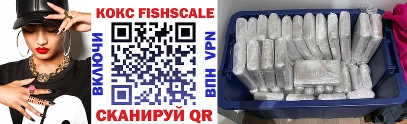 где купить наркоту  Александровское  Cocaine FishScale 